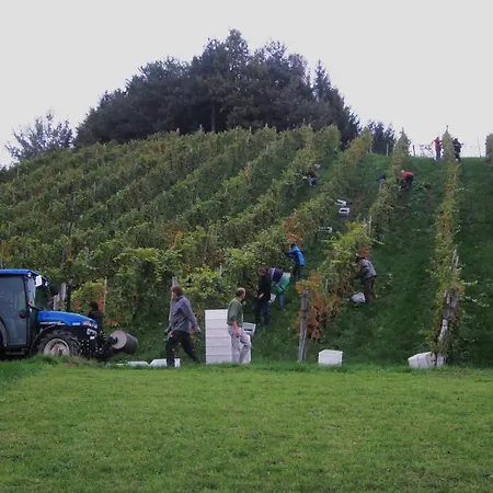 Séjour à la ferme Buschenschank Orsl
