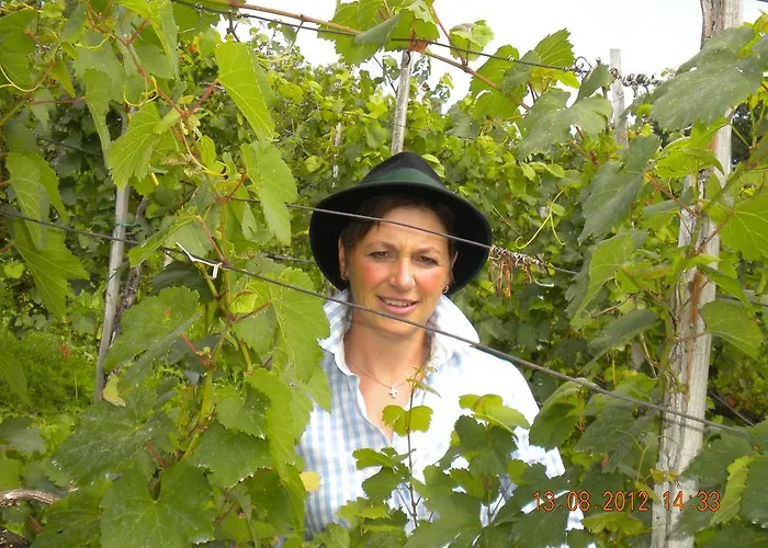 Agroturismo Buschenschank Orsl